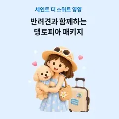 하나카드 반려견과 함께하는 댕토피아 패키지 대표 이미지