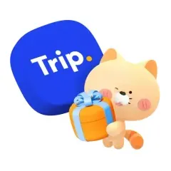 신한카드 할인 받고 트립닷컴 VIP도 되고! 신한카드×트립닷컴… 대표 이미지