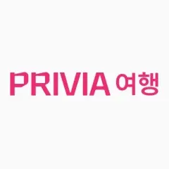 현대카드 PRIVIA 여행 국제선 항공권 10% M포인트 사용 대표 이미지